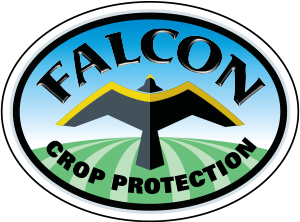 With A Free Line Bird Scarer Protect Farmers Crops Falcon Kite kits 
