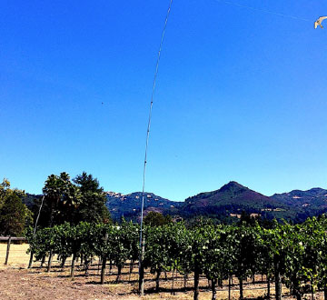 Bob and Linda Salomon Vineyards Customer Case